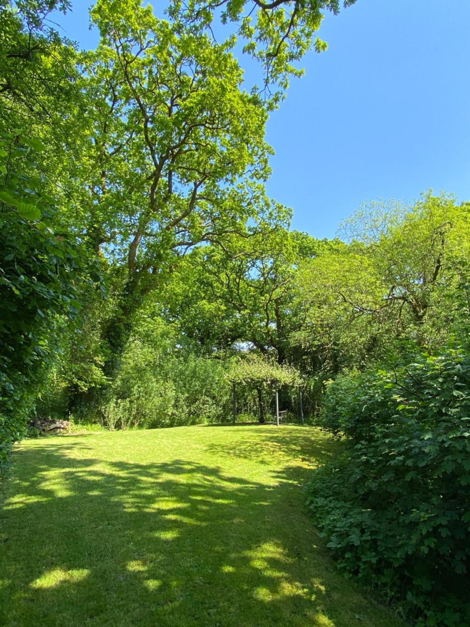 Petrock Holiday Cottages Newton Saint Petrock Chambre photo