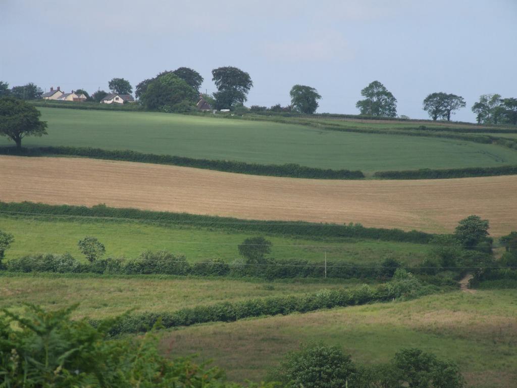 Petrock Holiday Cottages Newton Saint Petrock Extérieur photo